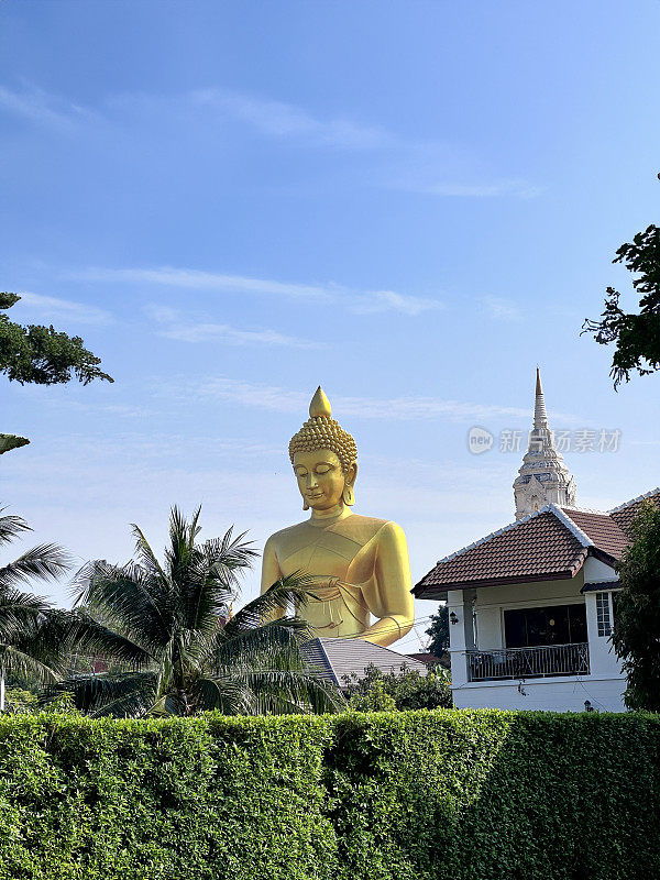 佛祖Dhammakaya Thep Mongkol(青铜雕像)和Wat Paknam Bhasicharoen(皇家寺庙)的图像，正式的花园，修剪的树篱，棕榈树，阳光明媚的蓝色蓬松的云天空，重点在前景